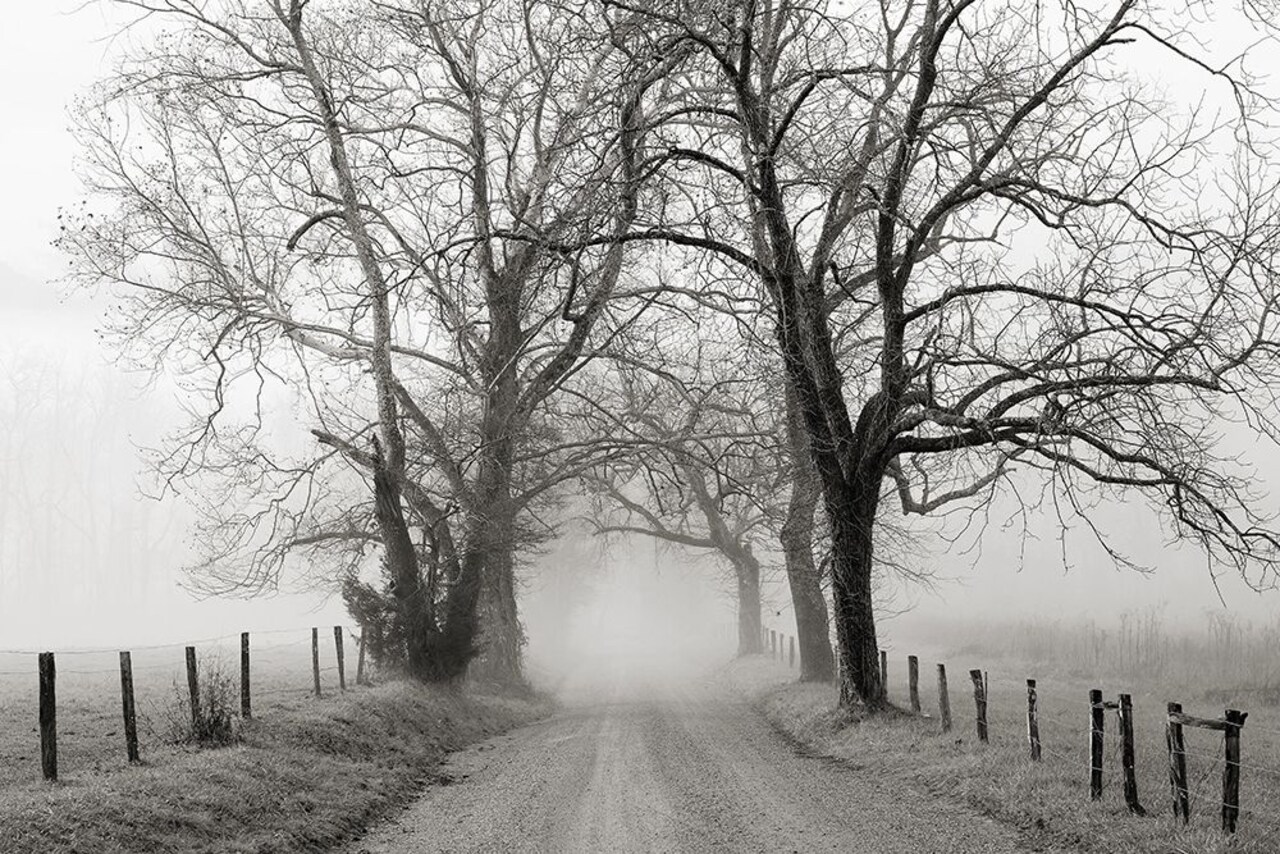 Sparks Lane, Late Autumn Poster Print by Nicholas Bell - Item # VARPDXB3606D